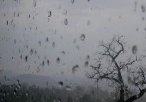 Municpio de Mato Grosso tem maior chuva do Brasil durante o ano nas ltimas 24 horas