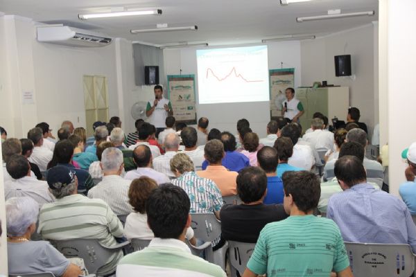 Produtor de Canarana paga 3 vezes mais pelo frete que o norte-americano