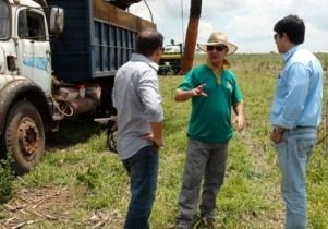 Ervas daninhas resistentes preocupam produtores rurais da regio sul de Mato Grosso