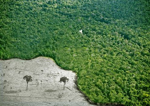 Comisso de Agricultura promove debate sobre cdigo