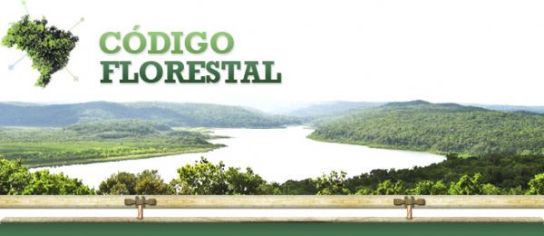Confira as dvidas sobre o Cdigo Florestal que mais 'assombram' ruralistas e ambientalistas