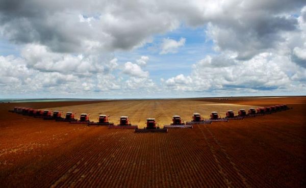 Setor da agricultura despencou 2,3% no no Brasil em 2012
