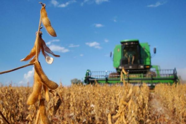 Arroz, milho e soja so os trs principais produtos deste grupo