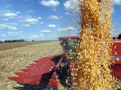 Campeo de produo, Mato Grosso ainda peca na competitividade no agronegcio, diz CNA