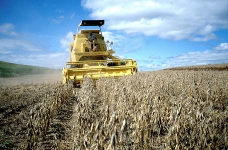Mato Grosso colher apenas 5,9% da rea de soja em janeiro com atraso no plantio