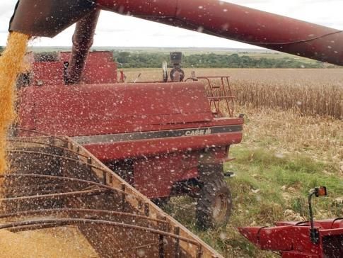 Sorriso tem o 3 maior PIB do agronegcio; Mato Grosso tem 19 cidades entre 100