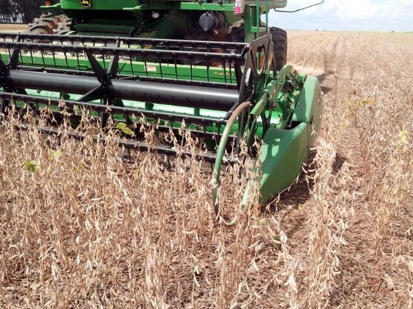 Clima instável acelera a colheita de grãos no Centro-Oeste brasileiro
