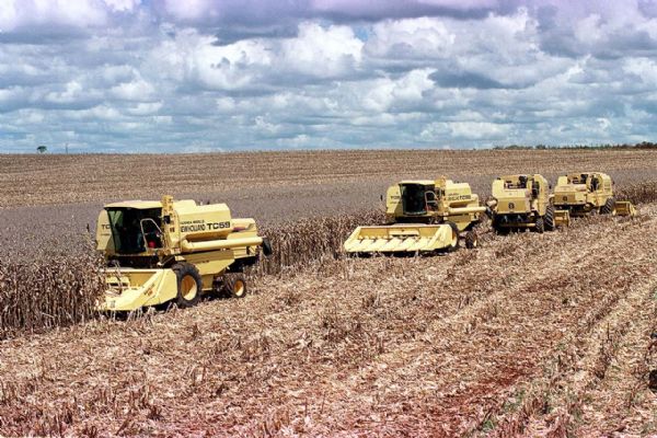 Mato Grosso j colheu 3 milhes de toneladas de milho e preos continuam a despencar