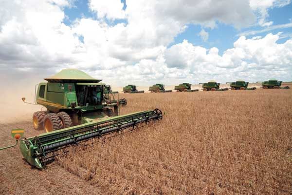 Aps mais de duas semanas de chuva, produtores de Campo Verde e regio conseguem evoluir colheita