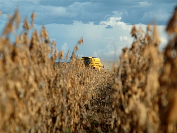 Alta do diesel deve gerar custo de R$ 273,8 milhes para os produtores em Mato Grosso