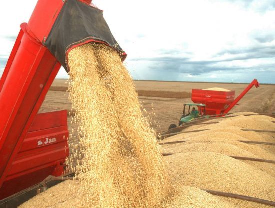 Produo de semente de soja cresce 188% e rea apenas 132% em 10 anos no Brasil