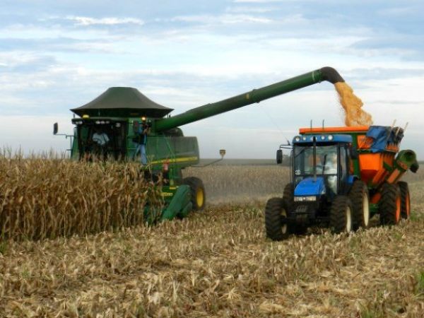 Milho produzido em Mato Grosso ser escoado para venda no Nordeste e Norte de Minas Gerais