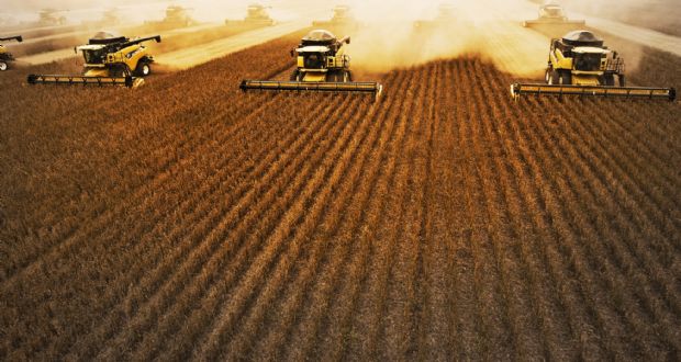 Valor da Produo Agropecuria em Mato Grosso pode atingir R$ 78,5 bi em 2017