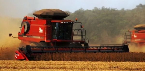 Produção de grãos aumenta para 209,5 milhões de toneladas, diz Conab