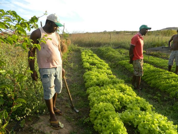 Pequenos produtores e comunidades rurais sero beneficiados por projeto de incentivo a produo de sementes e mudas e sua comercializao