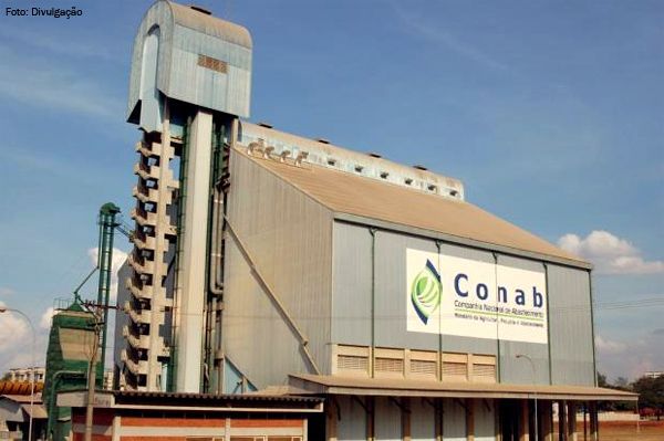 Leiles da Conab venderam apenas 47,6% do milho estocado em Mato Grosso