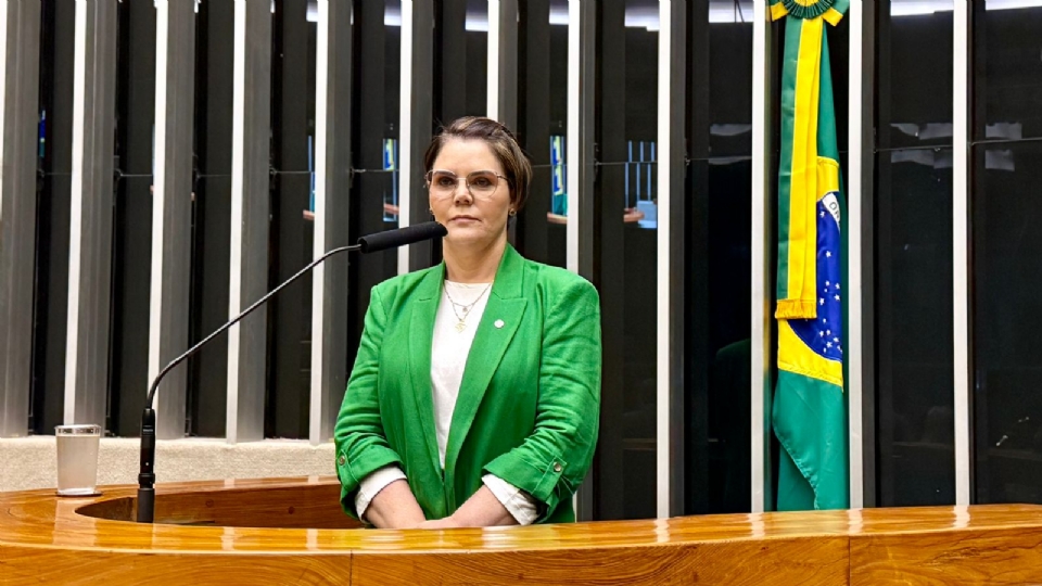 Cmara aprova Subcomisso proposta por Coronel Fernanda para fiscalizar obras de escoamento da safra