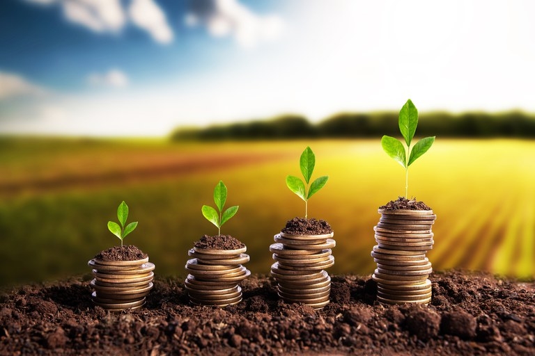 Aprosoja-MT v� fiscaliza��o do TCU como freio a abusos no cr�dito rural