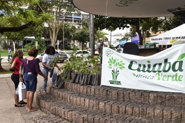 Prefeitura de Cuiab doa 600 mudas de rvores nativas de diferentes espcies