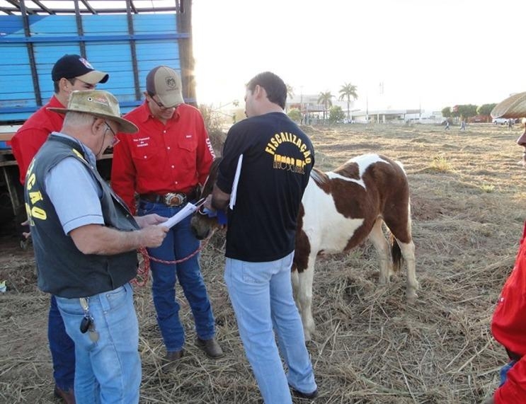 Indea promove curso para mdicos veterinrios interessados em atuar em eventos agropecurios