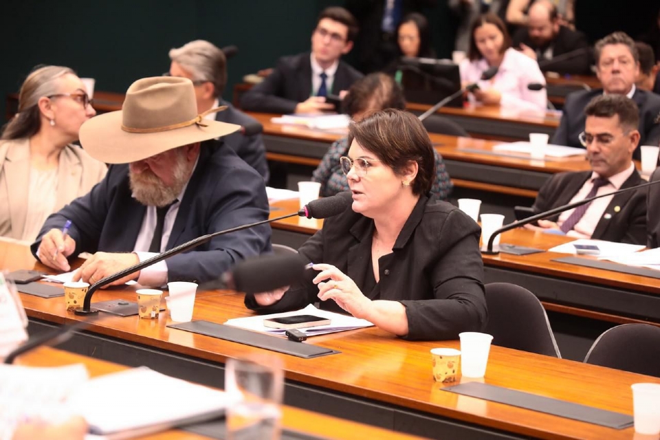 Deputada apresenta pacto para reduzir danos da Moratria da Soja a produtores rurais