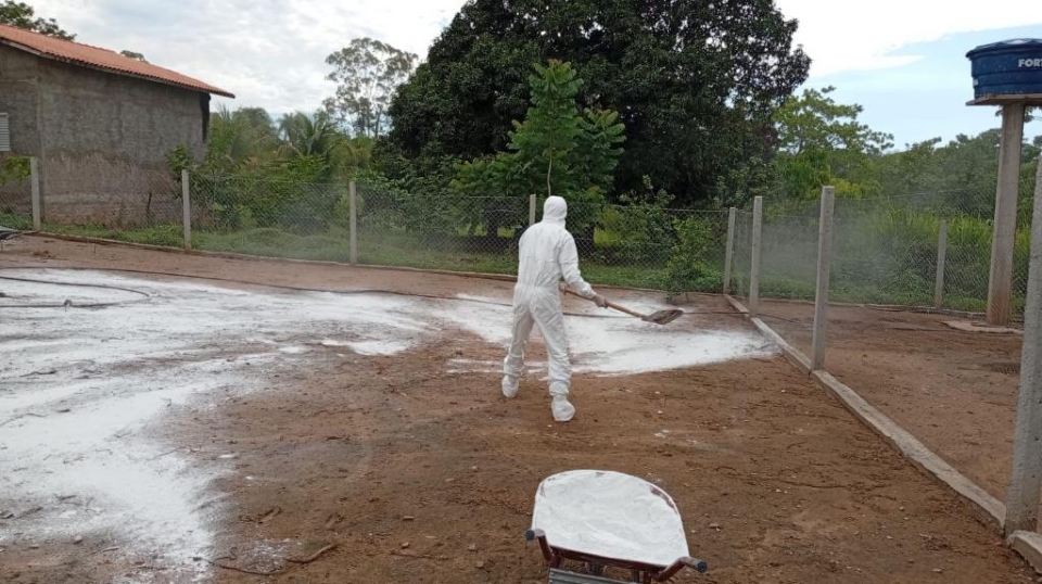 Indea encerra a��es de combate a foco de gripe avi�ria em propriedade rural com aves dom�sticas