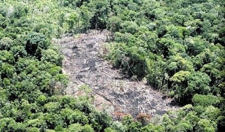 Mato Grosso ainda continua entre os maiores desmatadores, diz ministrio