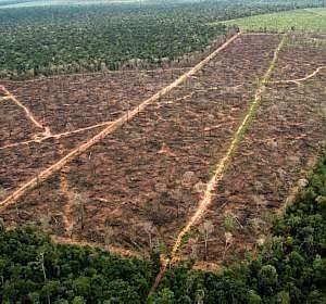 MT  lder de desmatamento na Amaznia; estado responde por 47% do total