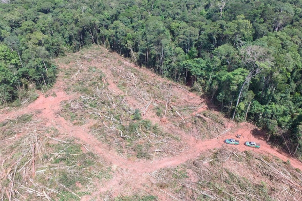 Ibama multa desmatadores em R$ 24 milhes e embarga 3,6 mil hectares em MT