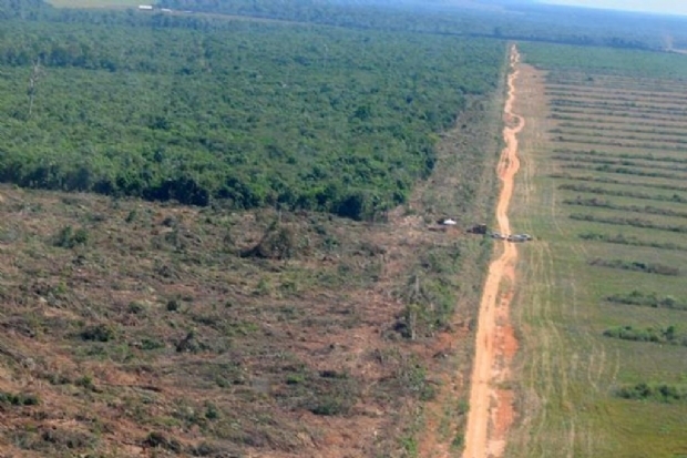 rea com alerta de desmatamento em Mato Grosso sobe 75%; Estado s fica atrs do Par