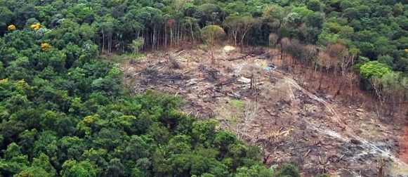 Desmatamento da Amaznia em MT passa de 26 mil hectares; indenizaes chegam a R$ 2,8 bi