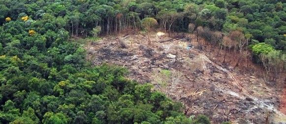 Desmatamento da Amaznia em MT passa de 26 mil hectares; indenizaes chegam a R$ 2,8 bi