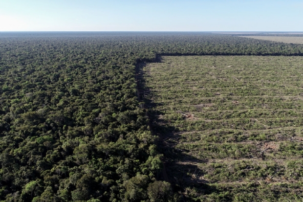 Mato Grosso foi o segundo estado que mais desmatou a Amaznia em 2020