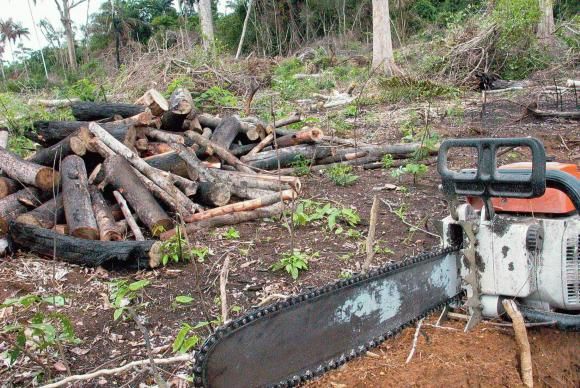Aps puxo de orelha Mato Grosso inicia investigao quanto aumento de 40% no desmatamento