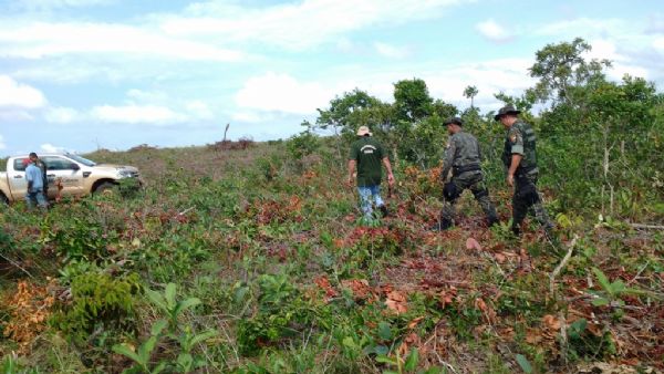 Autuaes por desmatamento ilegal superam R$ 27 milhes em Tangar da Serra