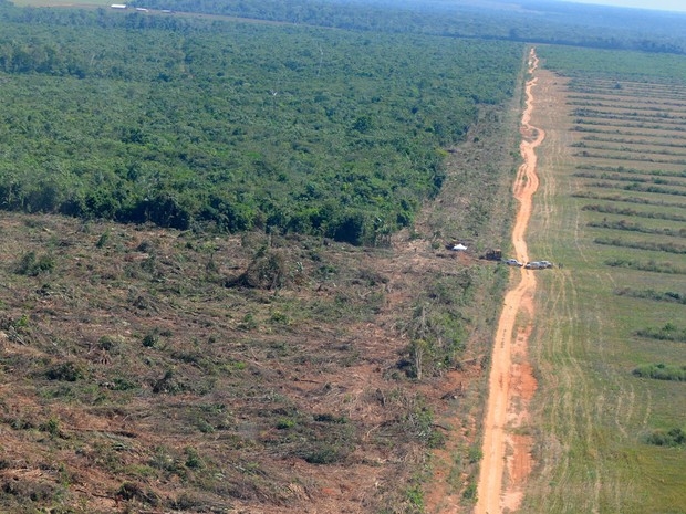 Em dez anos, MT desmatou rea equivalente ao tamanho de Cuiab