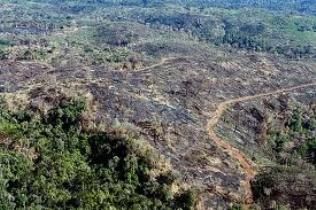 CAR ser o 'raio-X' ambiental da propriedade rural