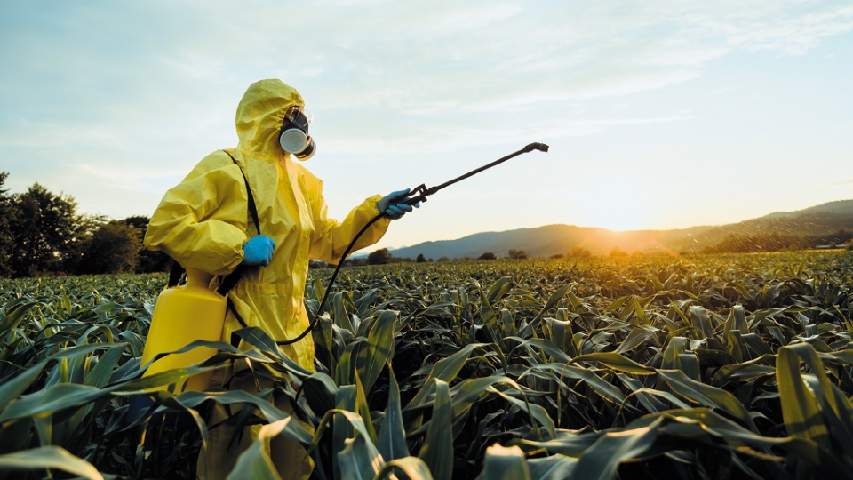 Estado autoriza 22 novos agrotxicos, amplia uso de outros 17 e atualiza cadastro de 83