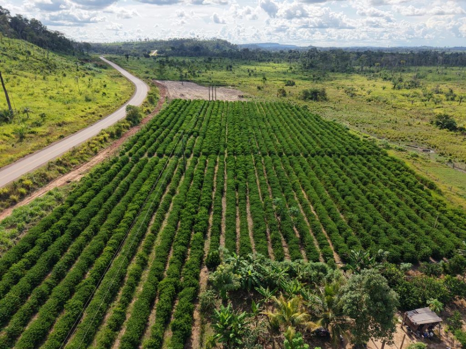 Com apoio do Banco Mundial, MT Produtivo inicia mobiliza��o em 61 cidades com investimento de US$ 100 milh�es