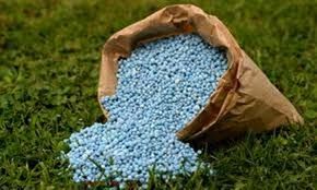 Compra antecipada de 95,5 % dos fertilizantes evitar custos adicionais para prxima safra