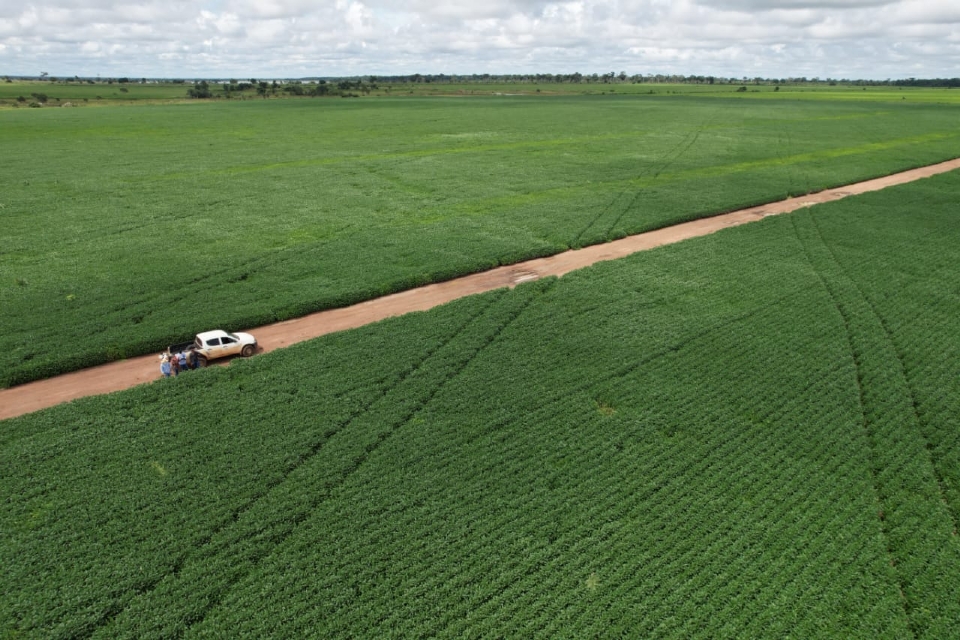 Vazio sanitrio da soja comea neste sbado em Mato Grosso