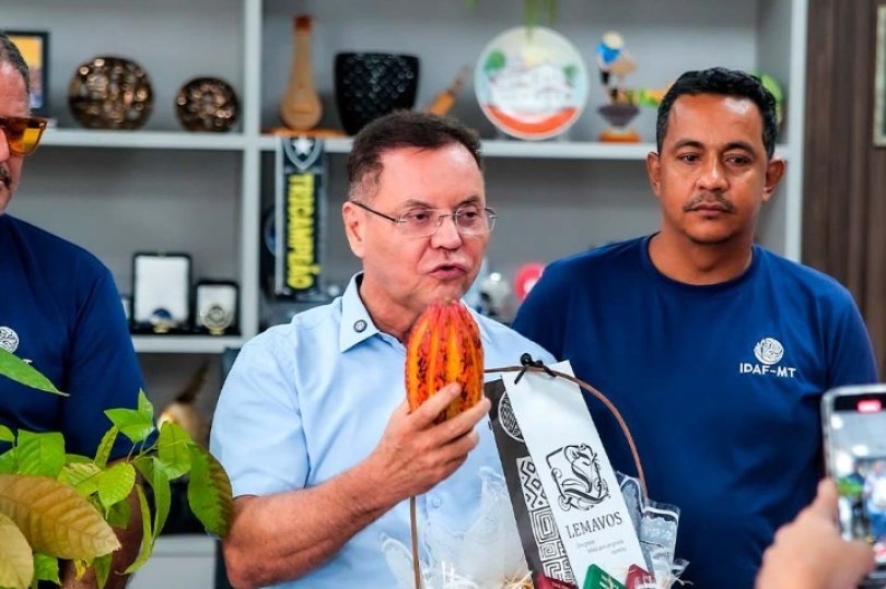Seminrio sobre cultivo e comercializao de cacau ocorre na sexta-feira em Cuiab; inscrio gratuita