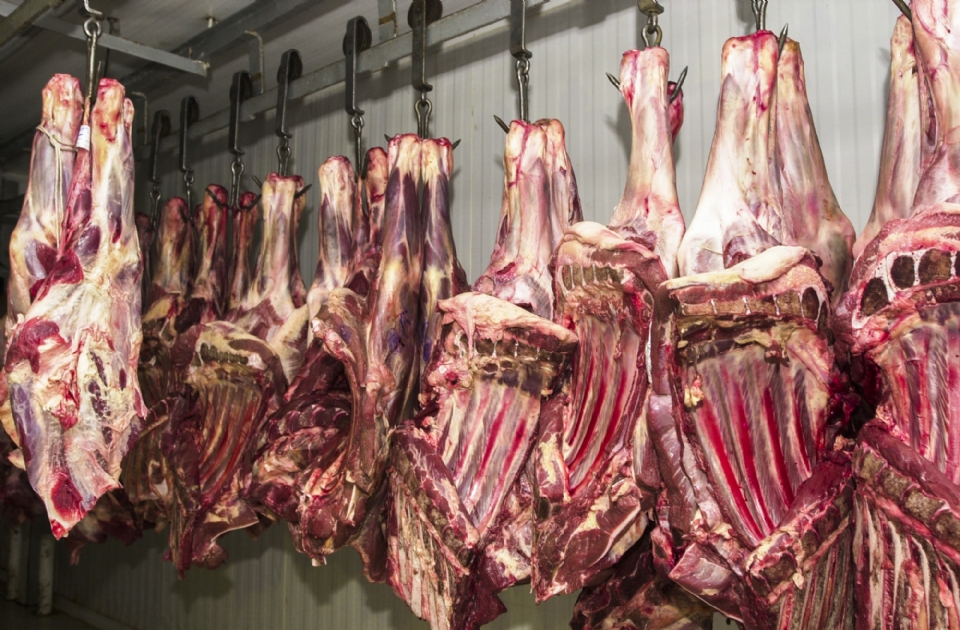 Brasil j participa com 28% do mercado internacional de carne; atuao da China em regio semelhante a MT liga alerta