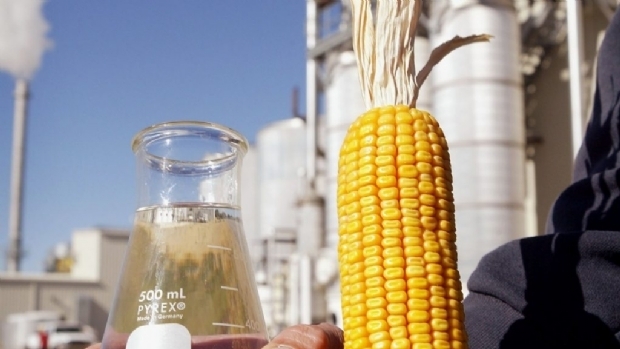 Estudo aponta que MT  o estado que mais produz etanol de milho no pas