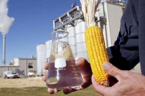 Mercado discute criao de matriz para milho e etanol; logstica ainda  principal soluo