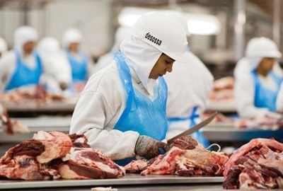 Brasil bate recorde de exportao de carne bovina e se mantm na liderana; MT tem fatia de 15%