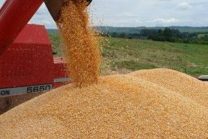 Brasil bate recorde anual de exportao de milho faltando 70 dias para o fim de 2012