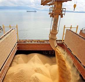 Exportao de soja brasileira para a China aumenta quase R$ 2 milhes durante o ano