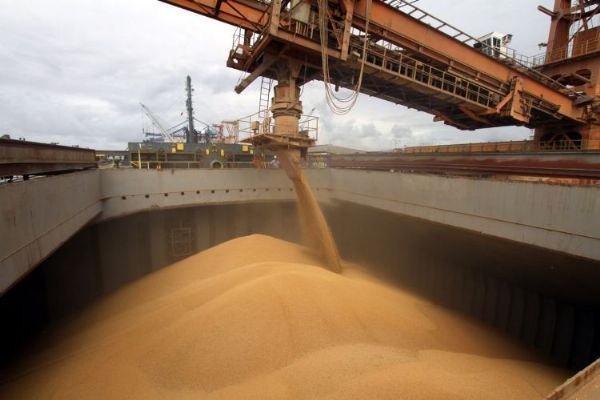 Exportaes caminham para uma estabilidade em Mato Grosso; Alta  de apenas 0,79%
