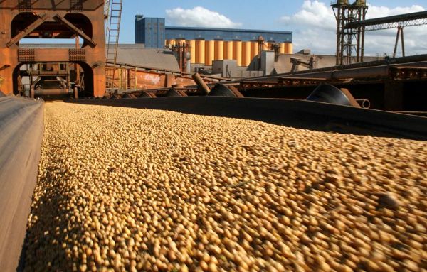 Chuva, greve e atraso na safra derrubam em quase 40% embarques de soja de Mato Grosso